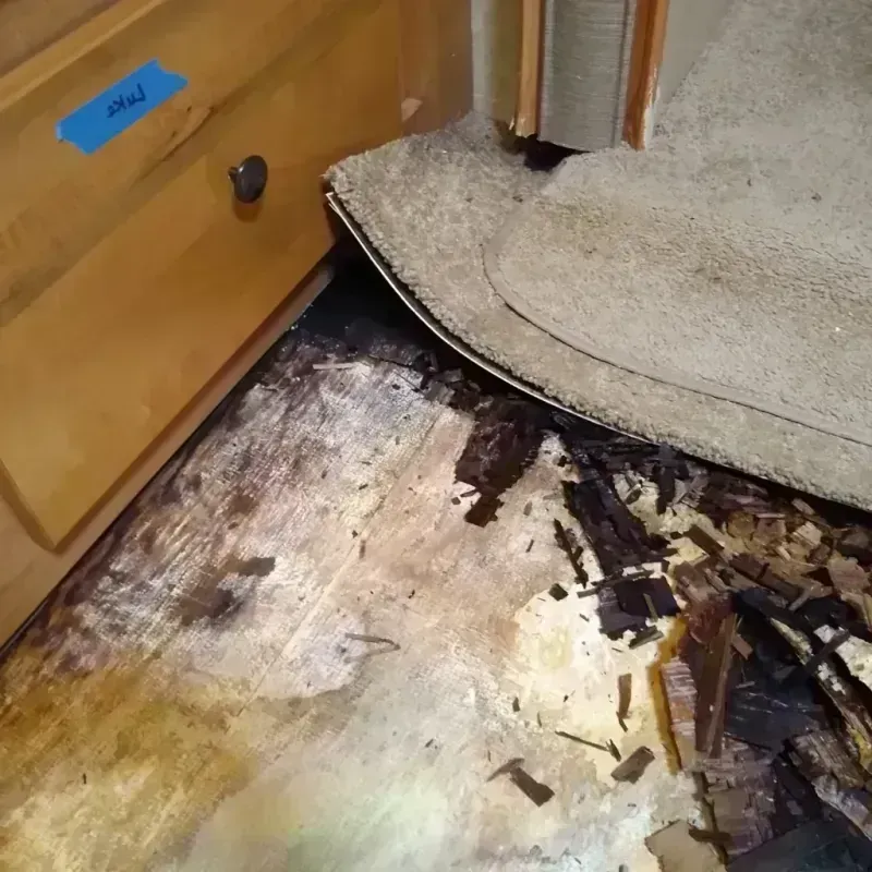 Wood Floor Water Damage in Springfield, GA